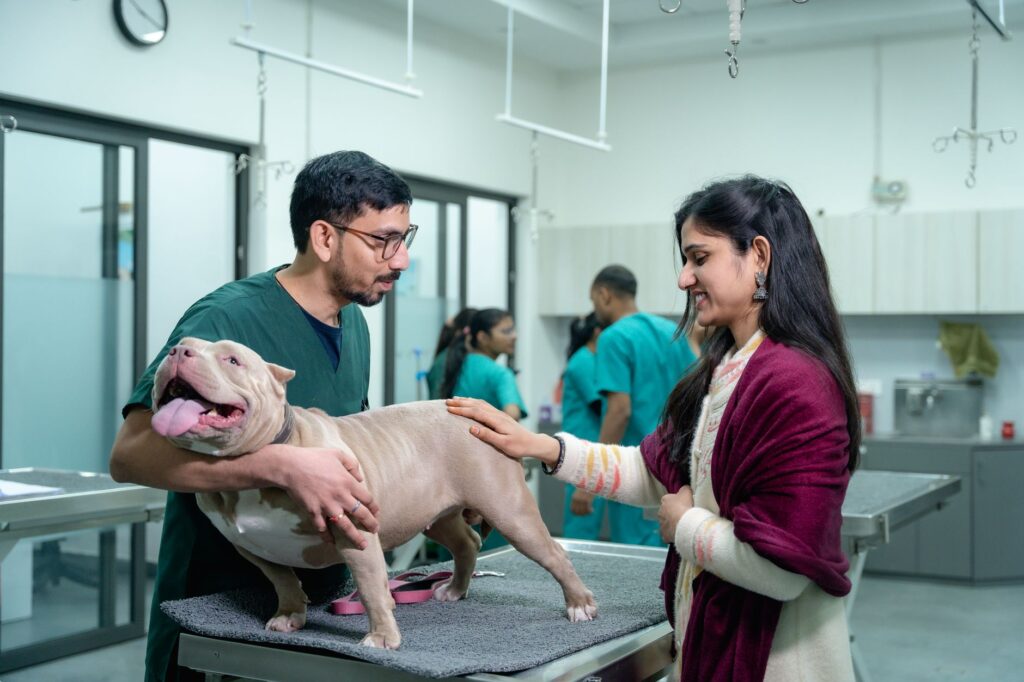How to Build a Veterinary Content Strategy That Attracts Pet Owners