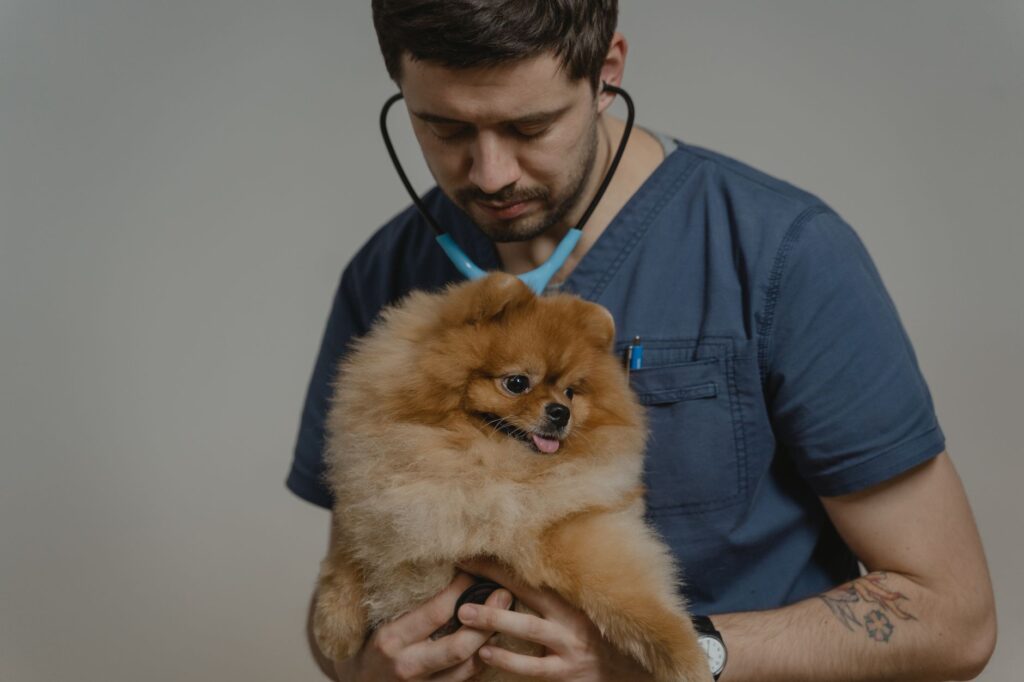 How to Optimize Your Veterinary Google Business Profile for Maximum Local Reach