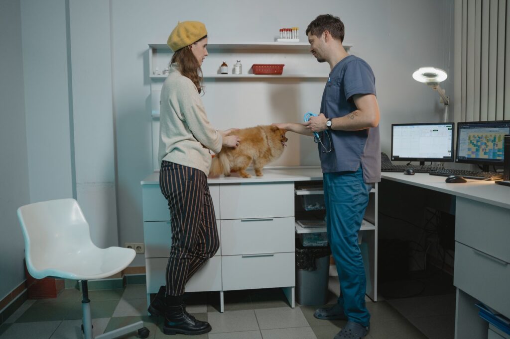 Veterinarian caring for a pet at a local clinic